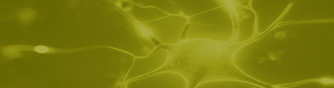 4-curso de coaching con programcion neuro linguistica